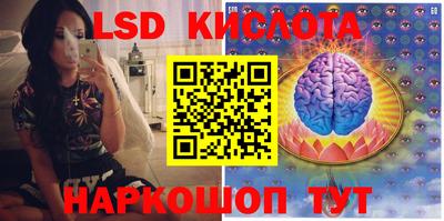 крисы Волгодонск
