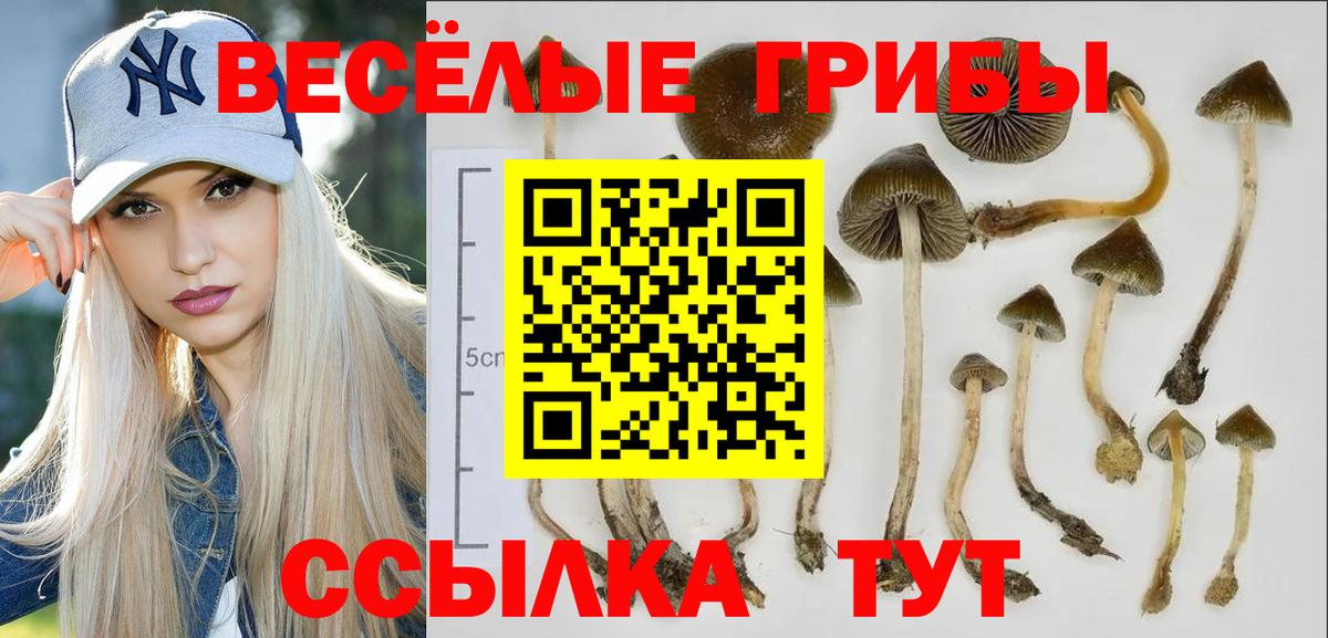 Саки  Галлюциногенные грибы мухоморы  Вход с VPN  Галлюциногенные грибы мухоморы 