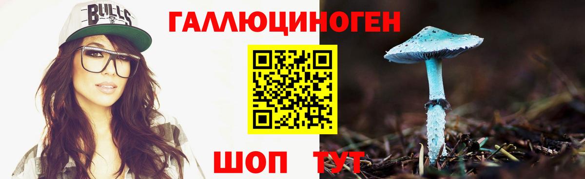 Галлюциногенные грибы Psilocybe Саки